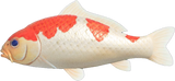 Koi Animal Crossing New Horizons | ACNH Critter - Nookmall
