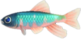 Pale Chub Animal Crossing New Horizons | ACNH Critter - Nookmall
