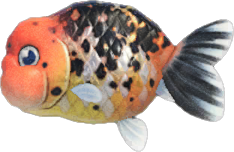 Ranchu Goldfish Animal Crossing New Horizons | ACNH Critter - Nookmall