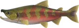 Salmon Animal Crossing New Horizons | ACNH Critter - Nookmall