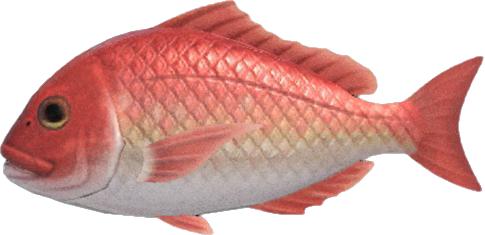 Red Snapper Animal Crossing New Horizons | ACNH Critter - Nookmall