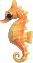 Sea Horse Animal Crossing New Horizons | ACNH Critter - Nookmall