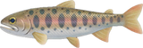Cherry Salmon Animal Crossing New Horizons | ACNH Critter - Nookmall