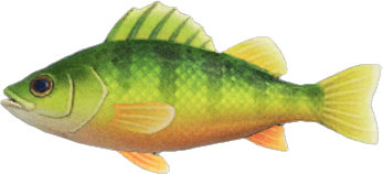 Yellow Perch Animal Crossing New Horizons | ACNH Critter - Nookmall