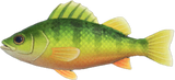 Yellow Perch Animal Crossing New Horizons | ACNH Critter - Nookmall