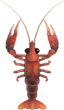 Crawfish Animal Crossing New Horizons | ACNH Critter - Nookmall