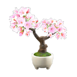 Cherry-Blossom Bonsai DIY Recipe