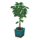 Sticky Image