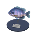 Bluegill Model Animal Crossing New Horizons | ACNH Critter - Nookmall