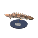 Saddled Bichir Model Animal Crossing New Horizons | ACNH Critter - Nookmall