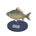 Crucian Carp Model Animal Crossing New Horizons | ACNH Critter - Nookmall