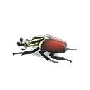 Grand Goliath Beetle Model Animal Crossing New Horizons | ACNH Critter - Nookmall