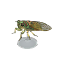 Evening Cicada Model Animal Crossing New Horizons | ACNH Critter - Nookmall
