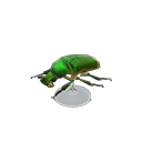 Drone Beetle Model Animal Crossing New Horizons | ACNH Critter - Nookmall