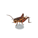 Cricket Model Animal Crossing New Horizons | ACNH Critter - Nookmall