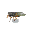 Giant Cicada Model Animal Crossing New Horizons | ACNH Critter - Nookmall