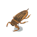 Giant Water Bug Model Animal Crossing New Horizons | ACNH Critter - Nookmall