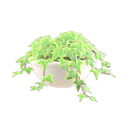 Potted Ivy DIY Recipe
