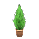Cypress Plant Animal Crossing New Horizons | ACNH Critter - Nookmall