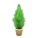 Cypress Plant Animal Crossing New Horizons | ACNH Critter - Nookmall