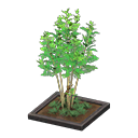 Evergreen Ash Animal Crossing New Horizons | ACNH Critter - Nookmall