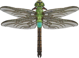 Darner Dragonfly Animal Crossing New Horizons | ACNH Critter - Nookmall