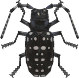 Citrus Long-Horned Beetle Animal Crossing New Horizons | ACNH Critter - Nookmall
