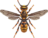 Wasp Animal Crossing New Horizons | ACNH Critter - Nookmall