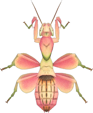 Orchid Mantis Animal Crossing New Horizons | ACNH Critter - Nookmall
