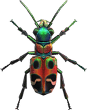 Tiger Beetle Animal Crossing New Horizons | ACNH Critter - Nookmall