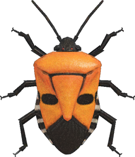 Man-Faced Stink Bug Animal Crossing New Horizons | ACNH Critter - Nookmall