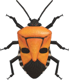 Man-Faced Stink Bug Animal Crossing New Horizons | ACNH Critter - Nookmall
