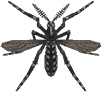 Mosquito Animal Crossing New Horizons | ACNH Critter - Nookmall