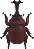 Horned Dynastid Animal Crossing New Horizons | ACNH Critter - Nookmall