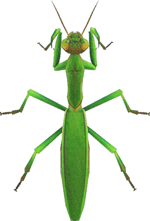 Mantis Animal Crossing New Horizons | ACNH Critter - Nookmall