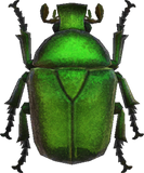 Drone Beetle Animal Crossing New Horizons | ACNH Critter - Nookmall