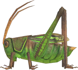Grasshopper Animal Crossing New Horizons | ACNH Critter - Nookmall