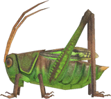 Grasshopper Animal Crossing New Horizons | ACNH Critter - Nookmall