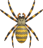 Spider Animal Crossing New Horizons | ACNH Critter - Nookmall