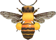Honeybee Animal Crossing New Horizons | ACNH Critter - Nookmall