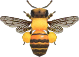 Honeybee Animal Crossing New Horizons | ACNH Critter - Nookmall