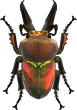 Rainbow Stag Animal Crossing New Horizons | ACNH Critter - Nookmall