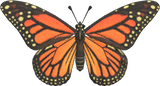 Monarch Butterfly Animal Crossing New Horizons | ACNH Critter - Nookmall