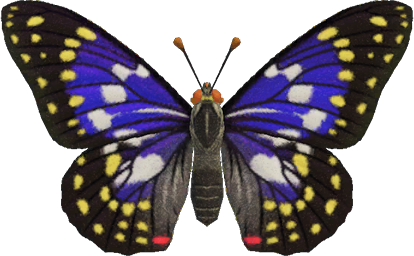 Great Purple Emperor Animal Crossing New Horizons | ACNH Critter - Nookmall