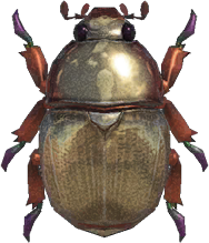 Scarab Beetle Animal Crossing New Horizons | ACNH Critter - Nookmall