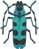 Rosalia Batesi Beetle Animal Crossing New Horizons | ACNH Critter - Nookmall
