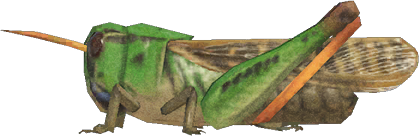 Migratory Locust Animal Crossing New Horizons | ACNH Critter - Nookmall