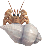 Hermit Crab Animal Crossing New Horizons | ACNH Critter - Nookmall