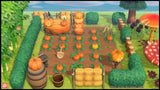 Pumpkin Farm