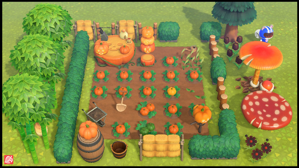 Pumpkin Farm